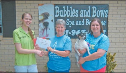 Bubbles and Bows Donated to Animal Harbor