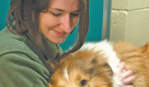 Animal Harbor Manager Amber Kelley snuggles with an adoptable dog.