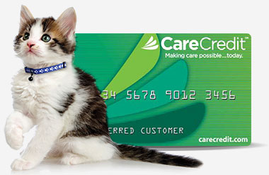 CareCredit Payment Plans Available