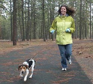Leash Training: Walking a dog on a leash