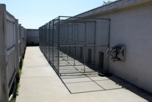 Pet boarding - Outside Run of th Dog Kennel