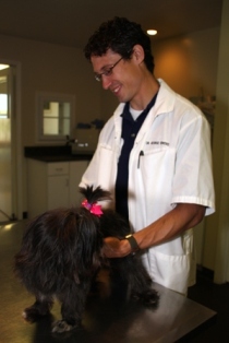 Dr. George Bowers performs pet exams