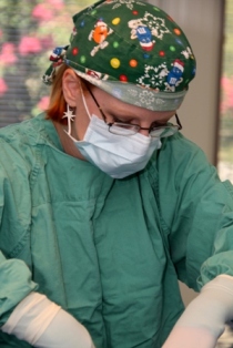 Close-up of Dr. Ashley Bowers performing a pet surgery
