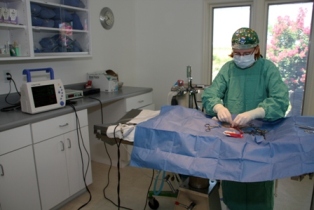Emergency Pet Care - Dr. Ashley Bowers in surgery