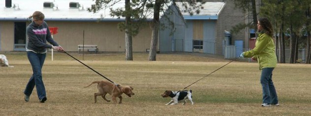 Walking a dog on a leash