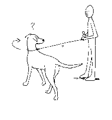 Leash Training: Stop